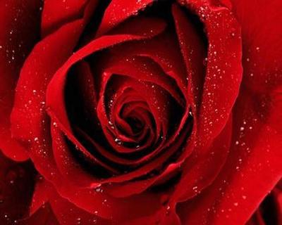 adieu...