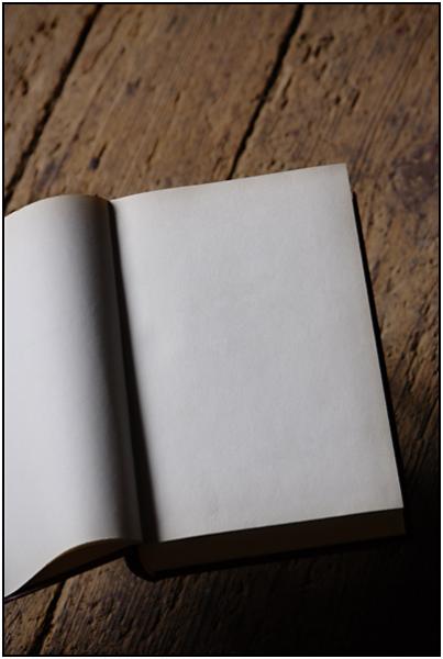 page blanche...